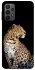 Чохол на Samsung Galaxy A23 4G Leopard v2 фото 1 з 1