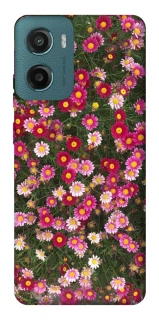 Чохол на Motorola Moto G06 Flowers v8 фото 1 з 1