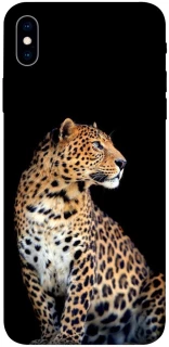 Чохол на Apple iPhone XS Max (6.5") Leopard v2 фото 1 з 1