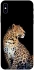 Чехол на Apple iPhone XS Max (6.5") Leopard v2 фото 1 из 1