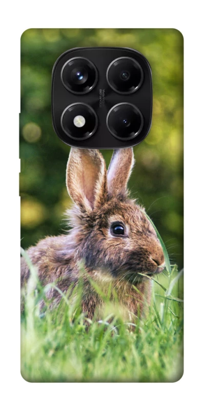 Чехол на Xiaomi Redmi Note 14 Pro 5G Кролики фото 1 из 1