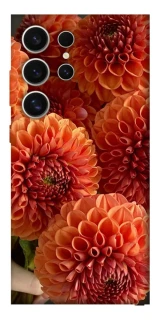 Чохол на Samsung Galaxy S25 Ultra Flower1 фото 1 з 1