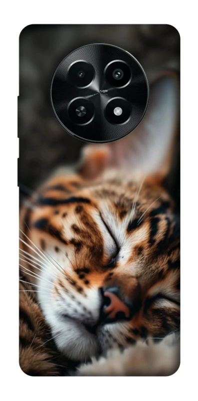 Чехол на Realme Narzo 70x Cat paws фото 1 из 1