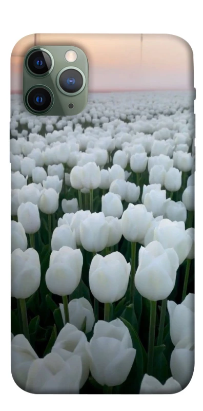 Чохол на Apple iPhone 11 Pro (5.8") Flowers v1 фото 1 з 1