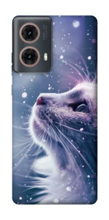 Чохол на Motorola Moto G85 Snow cat фото 1 з 1