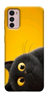 Чехол на Motorola Moto G42 This is Cat фото 1 из 1