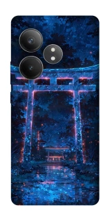 Чехол на Realme GT Neo 6 torii gate фото 1 из 1