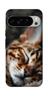 Чехол на Google Pixel 10 Pro Cat paws фото 1 из 1