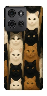 Чехол на Motorola Moto G75 Colorful Cat Collage фото 1 Чехол на Motorola Moto G75 Colorful Cat Collage фото 1 из 1