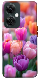 Чехол на OnePlus Nord CE 3 Lite Поле тюльпанов фото 1 из 1