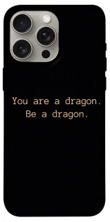 Чохол на Apple iPhone 15 Pro Max (6.7") House of the Dragon ver.9 фото 1 з 1