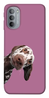 Чохол на Motorola Moto G31 А що тут фото 1 з 1