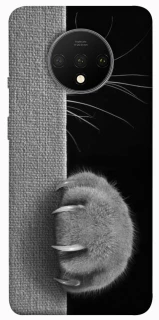 Чехол на OnePlus 7T Spy Cat фото 1 из 1