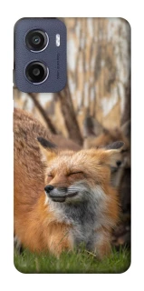 Чехол на Motorola Moto G05 Лиса фото 1 из 1