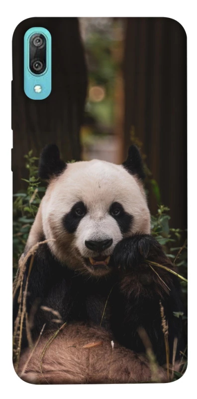 Чехол на Huawei Y6 Pro (2019) Панда фото 1 из 1