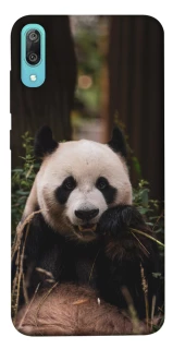 Чехол на Huawei Y6 Pro (2019) Панда фото 1 из 1