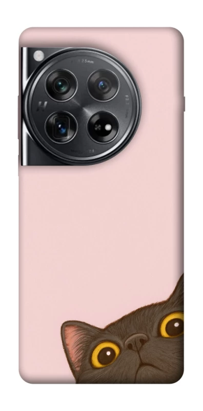 Чехол на OnePlus 12 Peeping cat фото 1 из 1