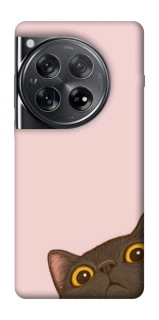 Чехол на OnePlus 12 Peeping cat фото 1 из 1