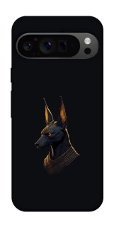 Чохол на Google Pixel 9 Pro Anubis фото 1 з 1