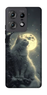 Чохол на Motorola Edge 50 Pro Кіт під місяцем фото 1 з 1