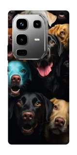 Чехол на Infinix Note 50 Pro Собаки фото 1 из 1