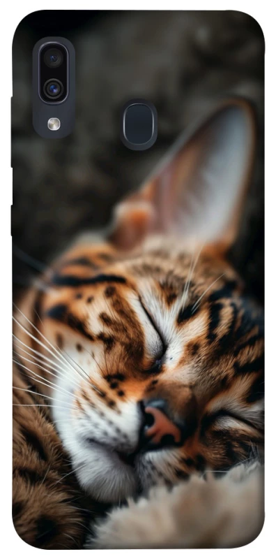 Чехол на Samsung Galaxy A20 / A30 Cat paws фото 1 из 1