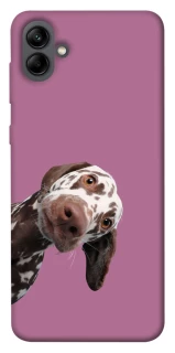 Чохол на Samsung Galaxy A04 А що тут фото 1 з 1