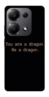 Чехол на Xiaomi Redmi Note 13 Pro 5G House of the Dragon ver.9 фото 1 из 1