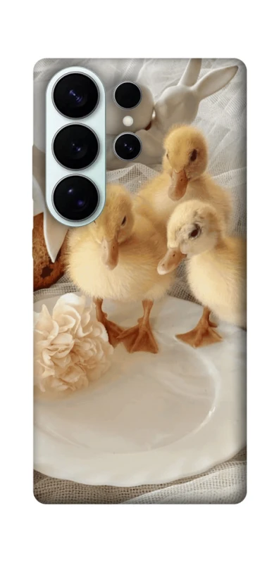 Чехол на Samsung Galaxy S26 Pro Easter Vibes фото 1 из 1