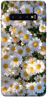 Чехол на Samsung Galaxy S10 Поле ромашек фото 1 из 1
