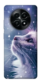 Чехол на Realme Narzo 70x Snow cat фото 1 из 1
