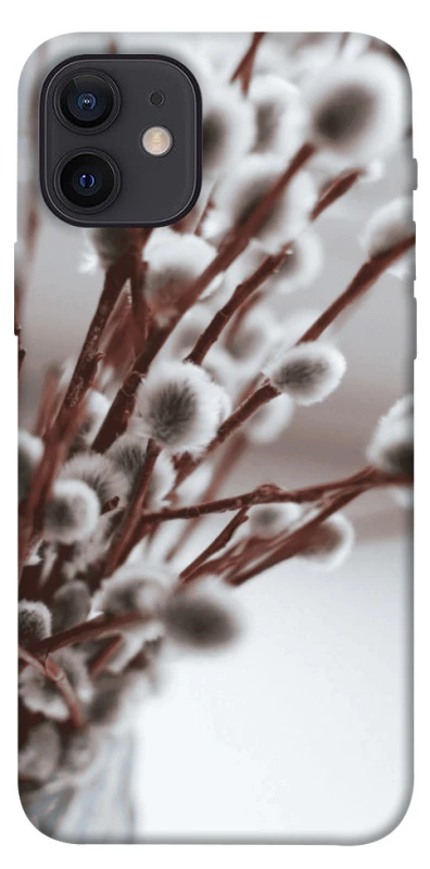 Чохол на Apple iPhone 12 (6.1") Magic фото 1 з 1