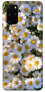 Чохол на Samsung Galaxy S20+ Поле ромашок фото 1 з 1