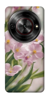Чохол на ZTE Nubia Focus Spring фото 1 з 1