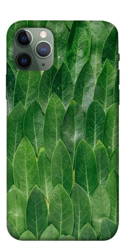 Чохол на Apple iPhone 11 Pro (5.8") Листя фото 1 з 1
