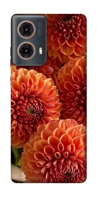 Чохол на Motorola Moto G85 Flower1 фото 1 з 1
