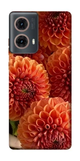 Чехол на Motorola Moto G85 Flower1 фото 1 из 1