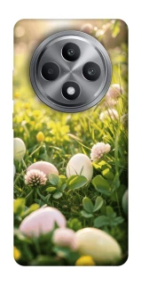 Чехол на Oppo Reno 12 F 4G Hello Spring фото 1 из 1