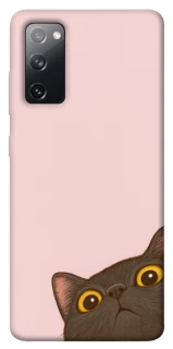 Чехол на Samsung Galaxy S20 FE Peeping cat фото 1 из 1