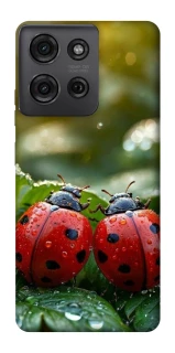 Чохол на Motorola Moto G75 Flowers v23 фото 1 з 1