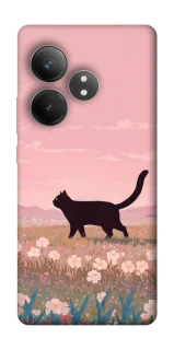 Чохол на Realme GT Neo 6 cat on a field фото 1 з 1