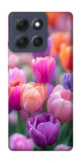 Чохол на Motorola Moto G86 Power Тюльпанове поле фото 1 з 1