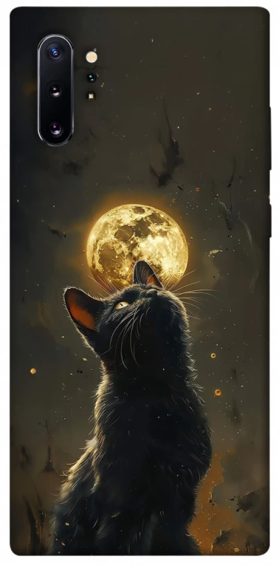 Чохол на Samsung Galaxy Note 10 Plus Кіт під місяцем v2 фото 1 з 1