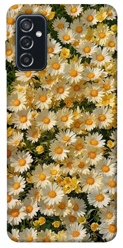 Чохол на Samsung Galaxy M52 Camomile фото 1 з 1
