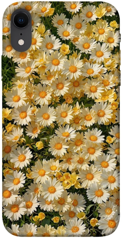 Чохол на Apple iPhone XR (6.1") Camomile фото 1 з 1