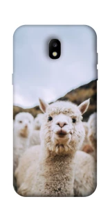 Чохол на Samsung Galaxy J5 (2017) Лама фото 1 з 1