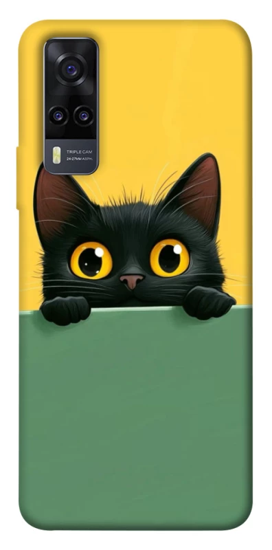 Чохол на Vivo Y31 Black cat v2 фото 1 з 1