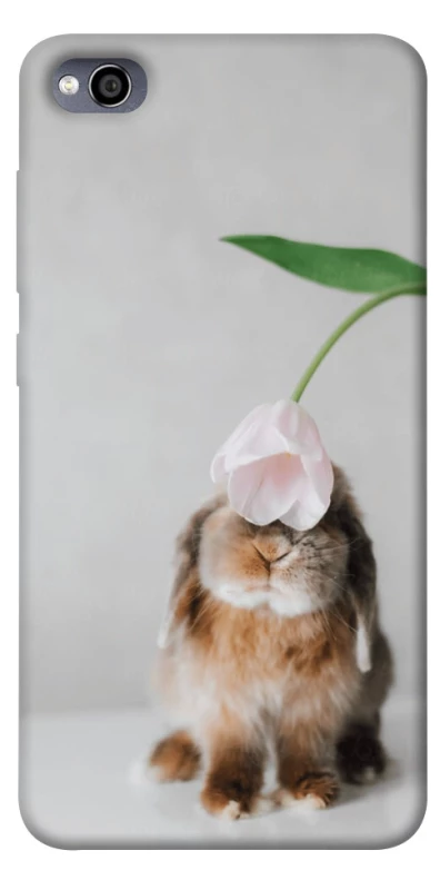 Чохол на Xiaomi Redmi 4a Bunny фото 1 з 1