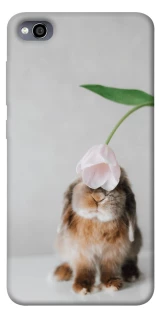 Чохол на Xiaomi Redmi 4a Bunny фото 1 з 1