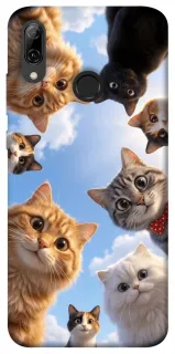 Чехол на Huawei P Smart (2019) Cats фото 1 из 1